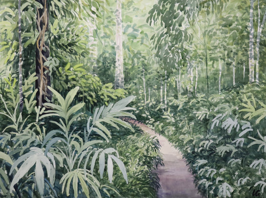 River Rainforest: Lauren Guymer