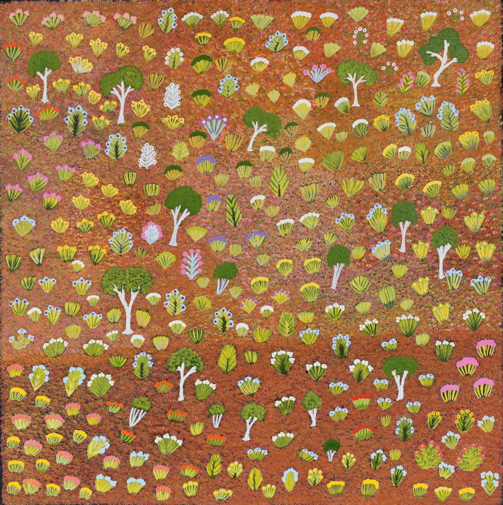 Lilly Kemarre Morton | My Country Antarrengeny 95-24