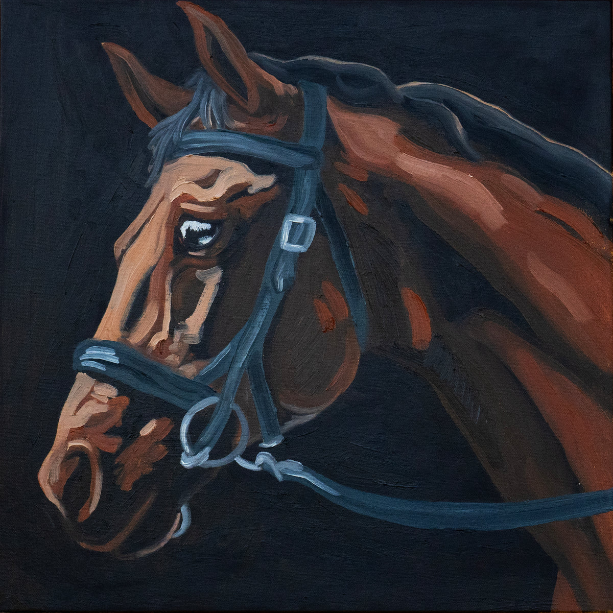 Zander Clark | Horse #001