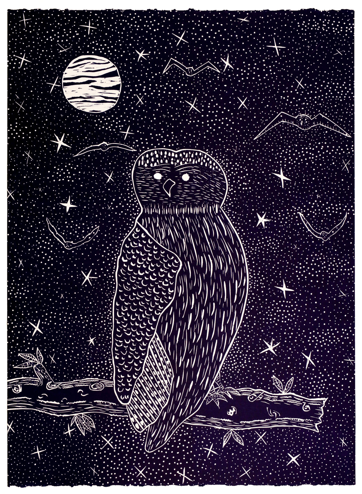 Karen Rogers | Owl 533-23