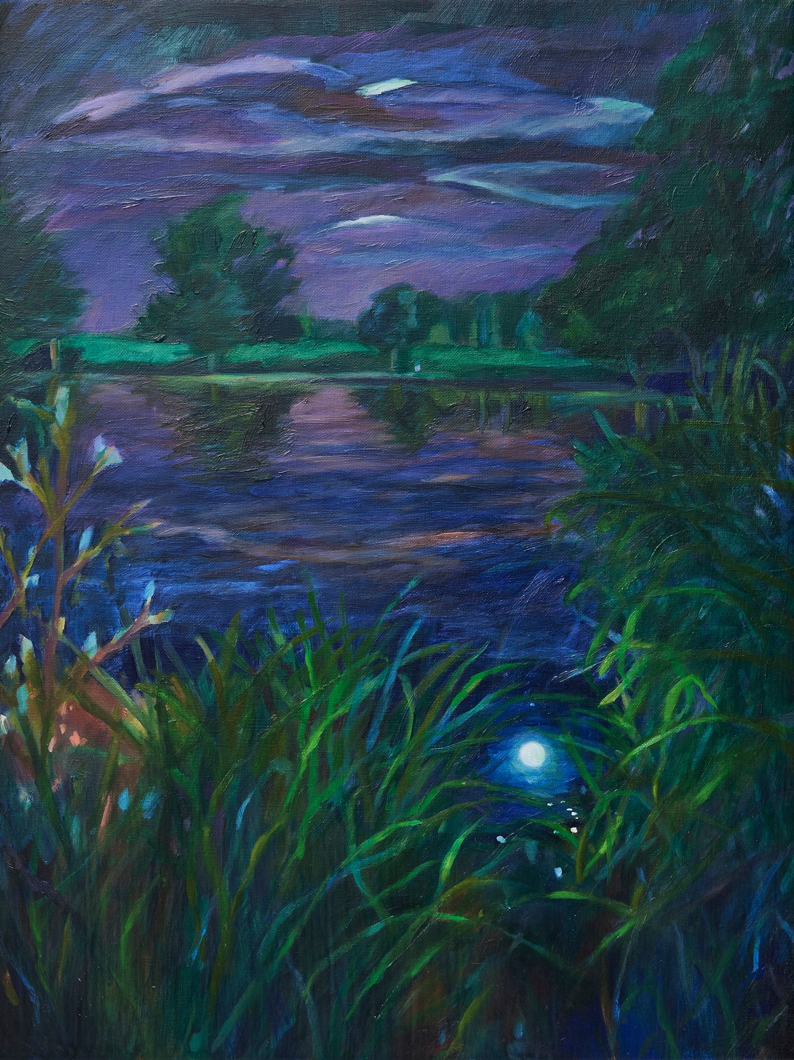 Vanessa Rowe | Submerged