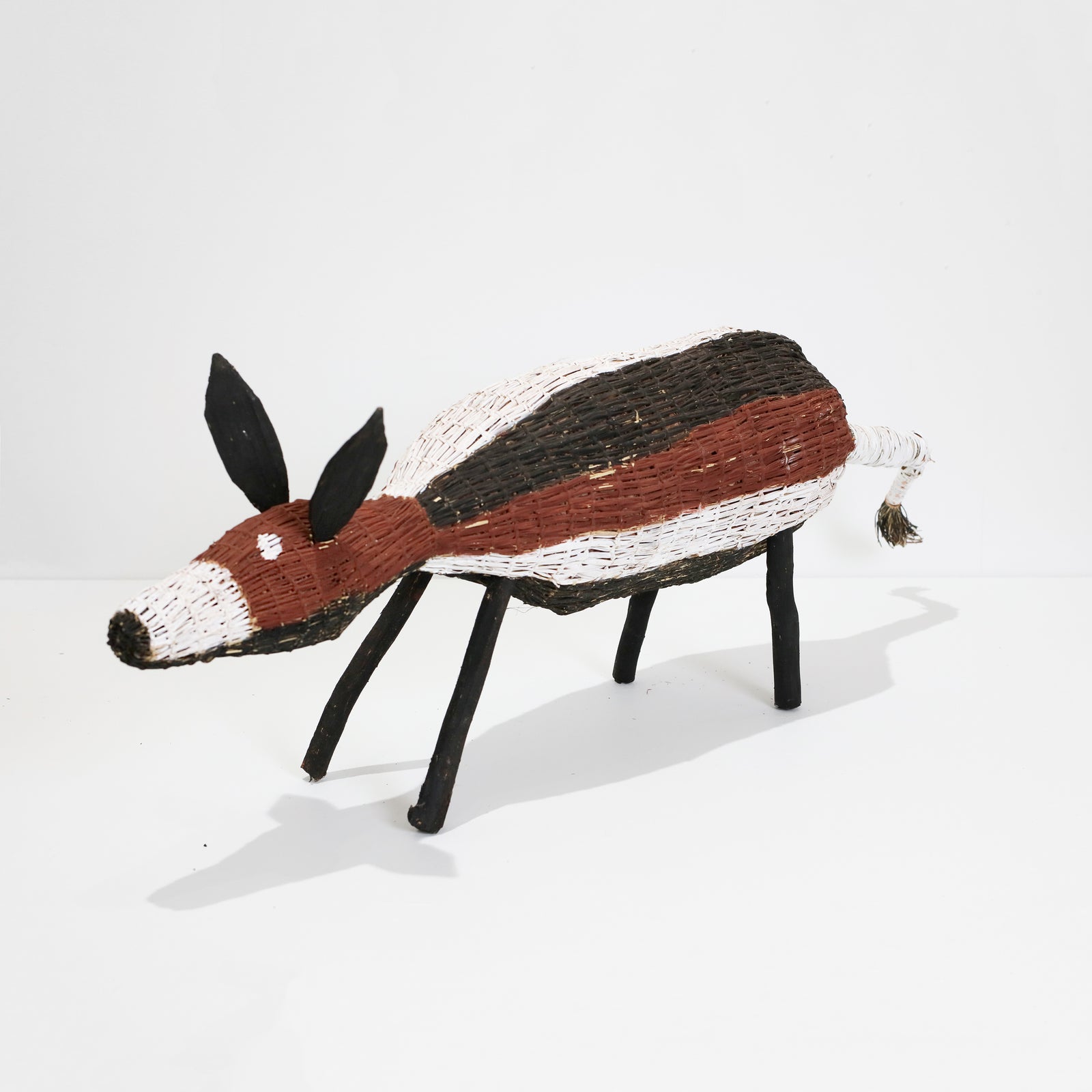 Vera Cameron | Djamo (Dog) 1190-23