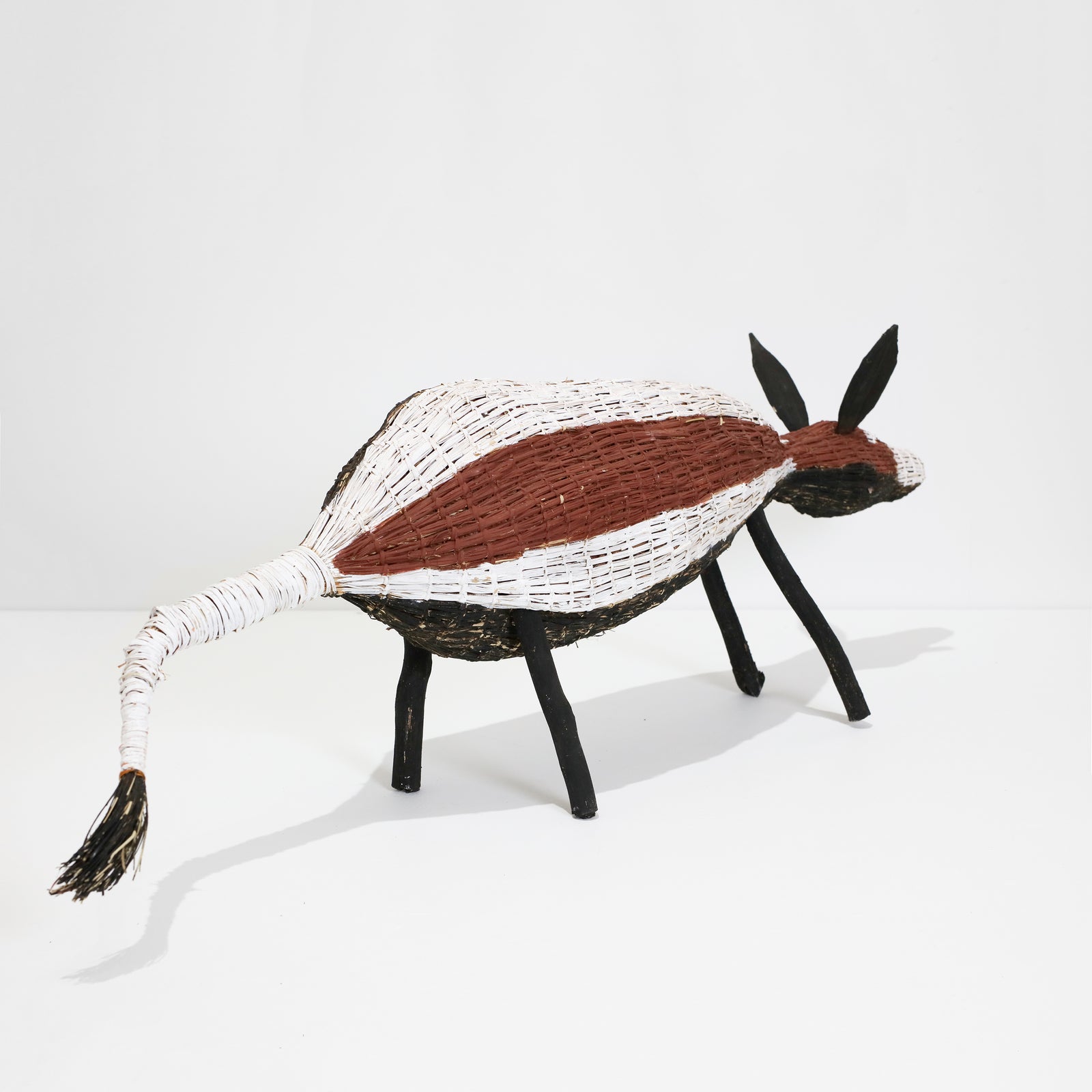 Vera Cameron | Djamo (Dog) 1190-23