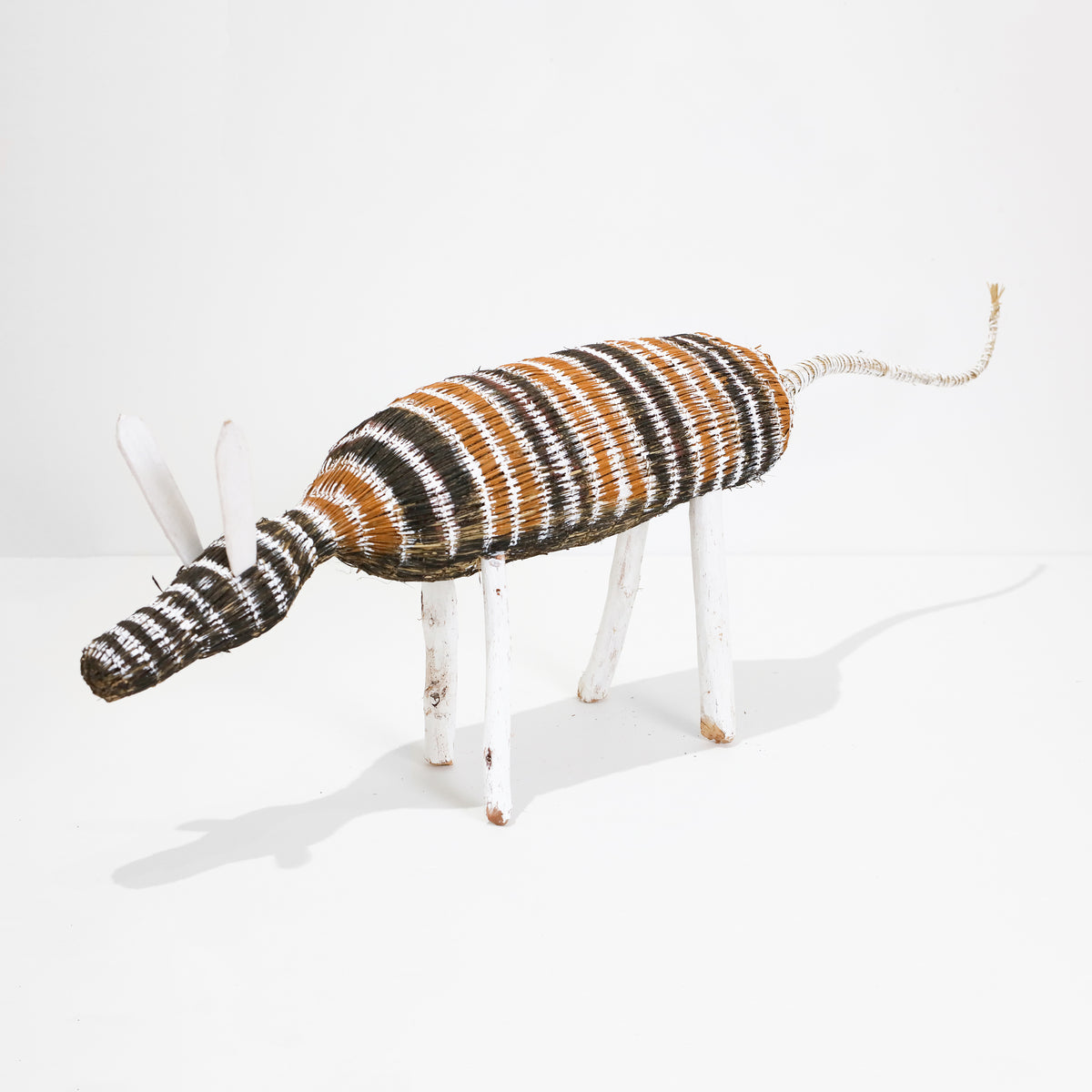 Yolanda Rostron | Djamo (Dog) 1188-23