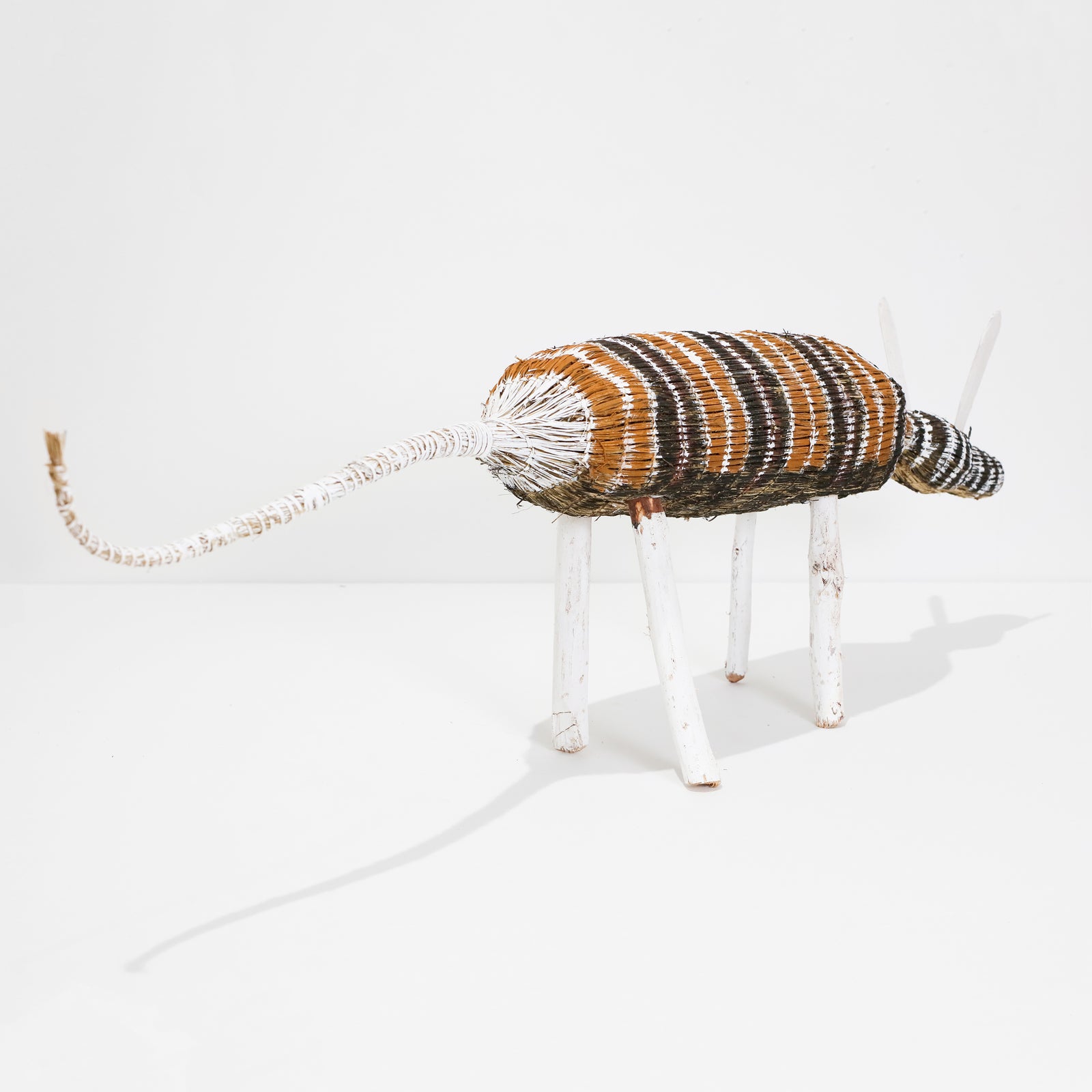Yolanda Rostron | Djamo (Dog) 1188-23