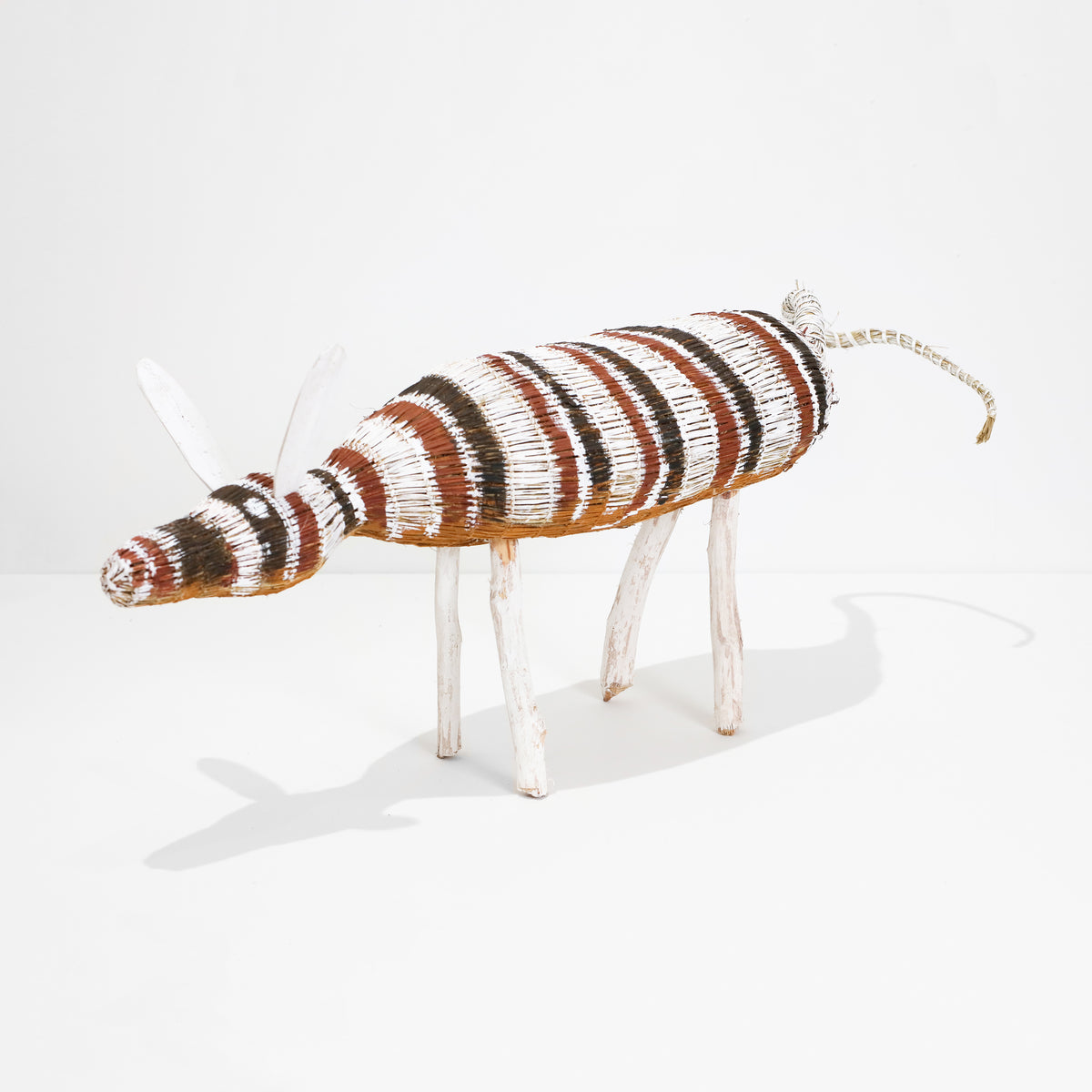Yolanda Rostron | Djamo (Dog) 1189-23