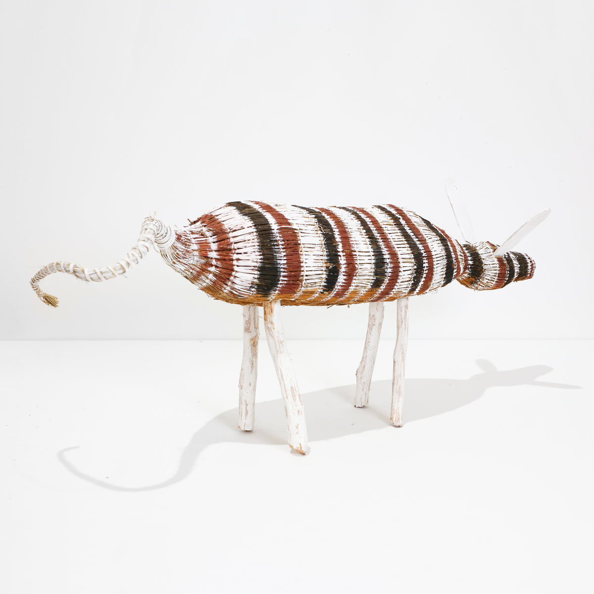 Yolanda Rostron | Djamo (Dog) 1189-23