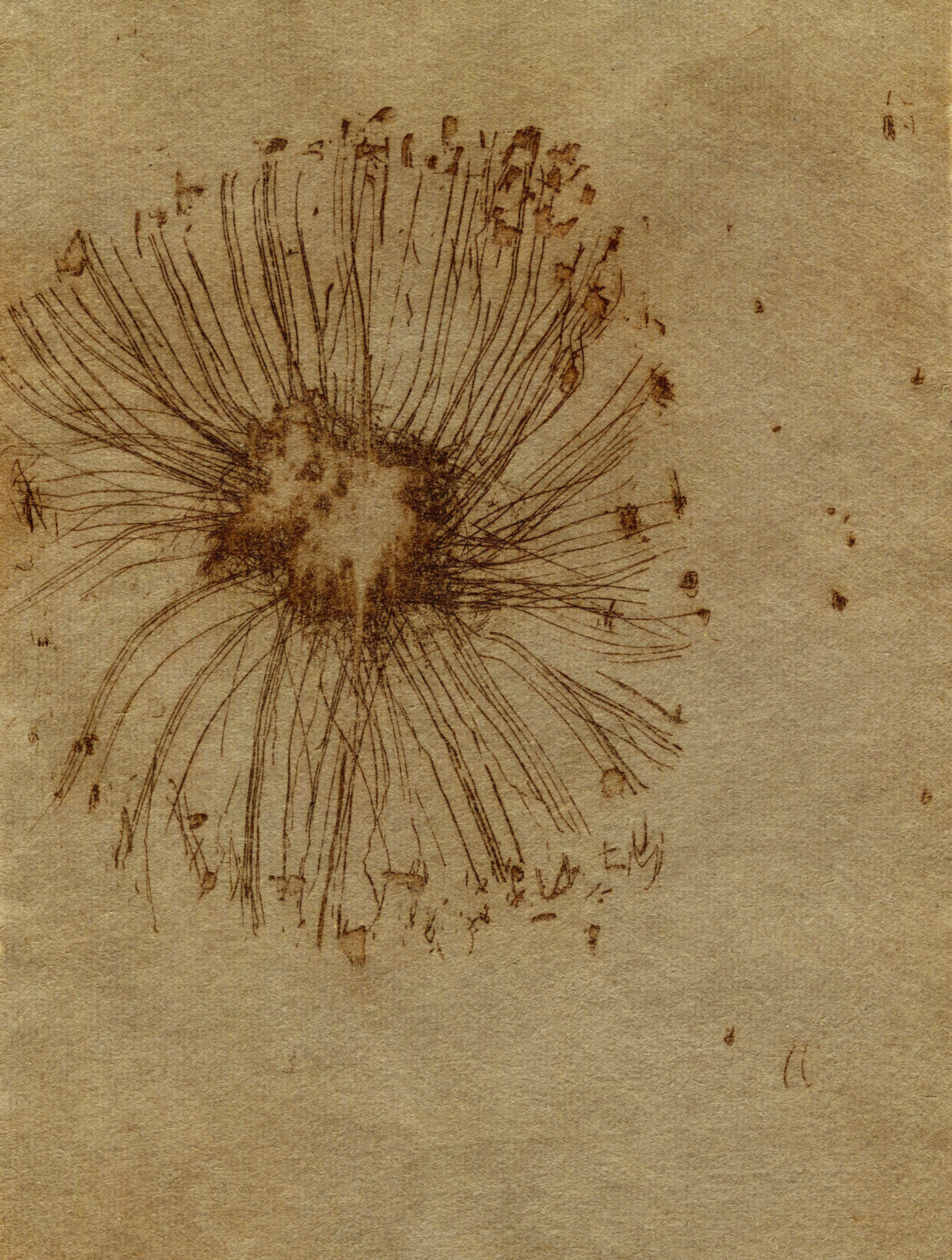 Oxide | Cecilia Jacobs