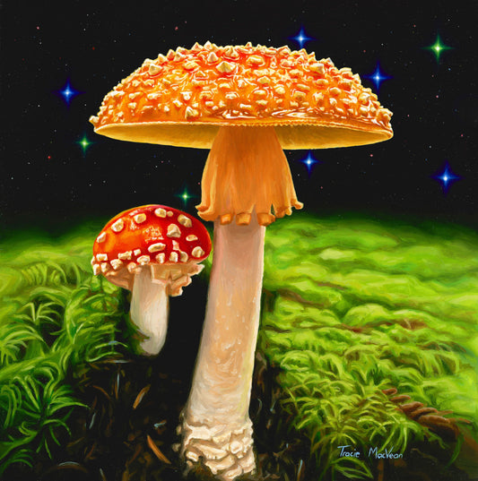 Fungarium | Tracie MacVean