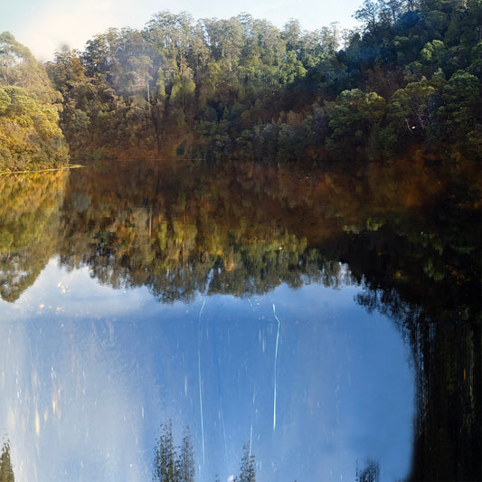 Chris Morgan | Breath of Light
