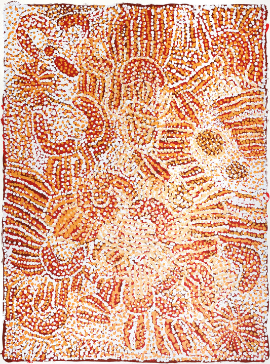 Warlayirti Artists