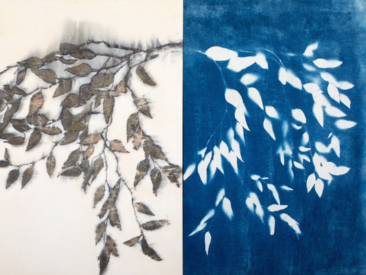 Mono No Aware: The Impermanence of Things | Inge Flinte