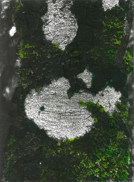 Growing, Unnoticed | Declan Monaghan