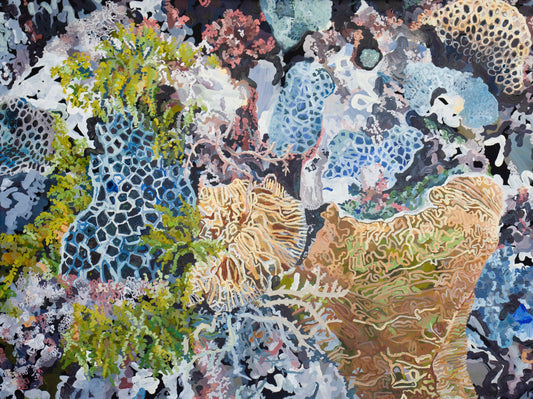 Intertidal | Anna Spencer