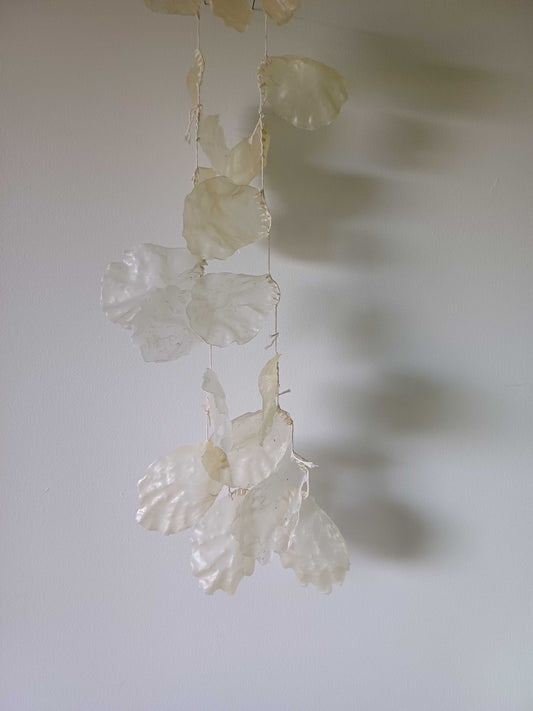 Tracing, Softly | Gabbee Stolp