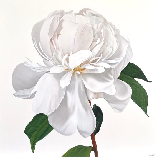 Veins of Light, Roots of Loss | Sarah Blatchford