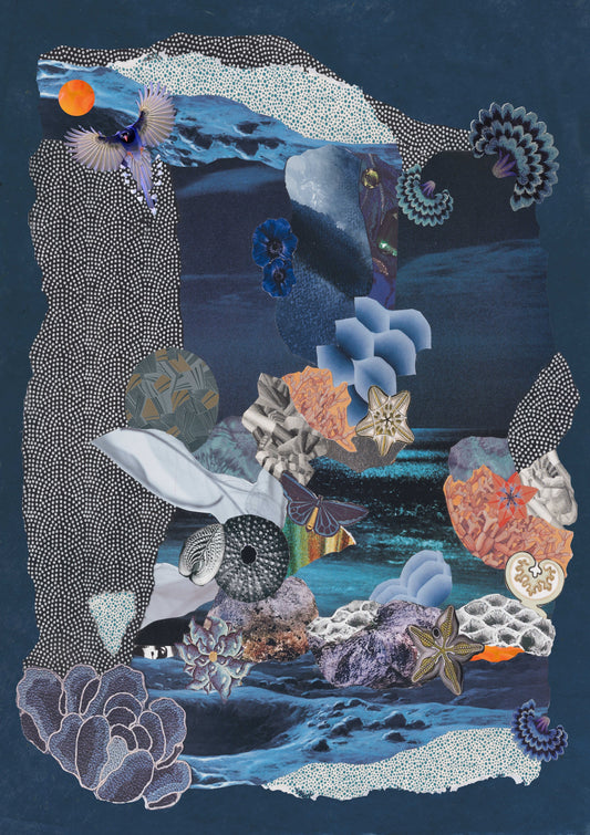 Nature's Abstraction | Fleur Optekamp