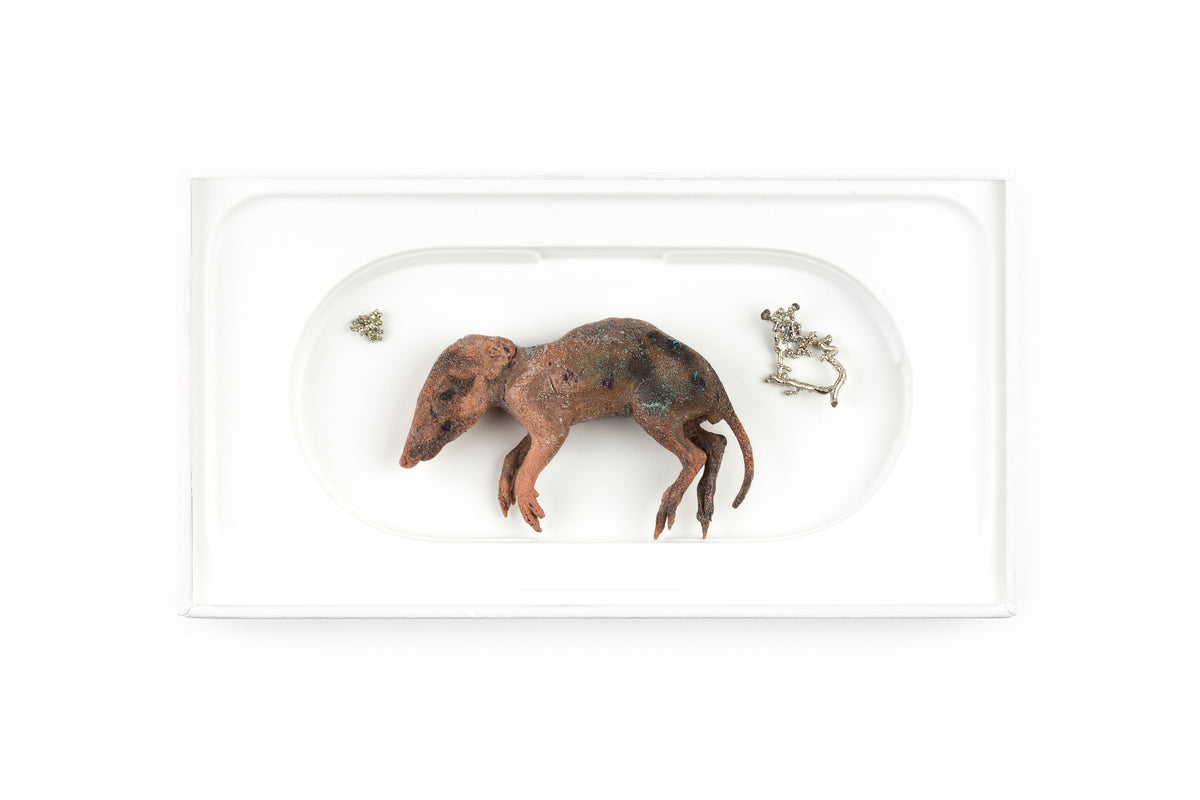 Tineke Van der Eecken | Baby Quenda