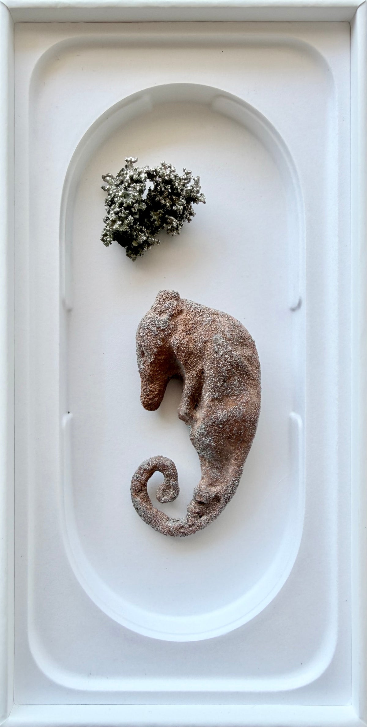 Tineke Van der Eecken | Honey Possum Bliss