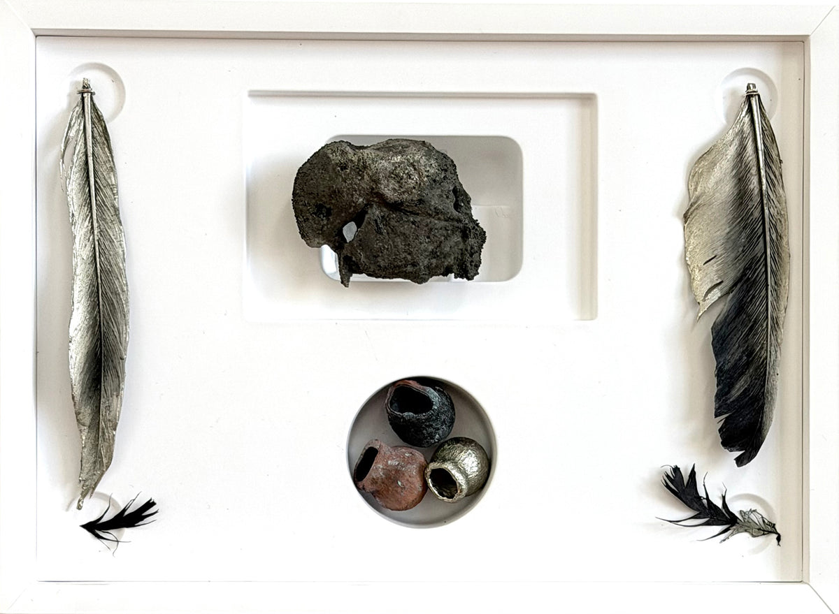 Tineke Van der Eecken | Echoes of Black Cockatoo