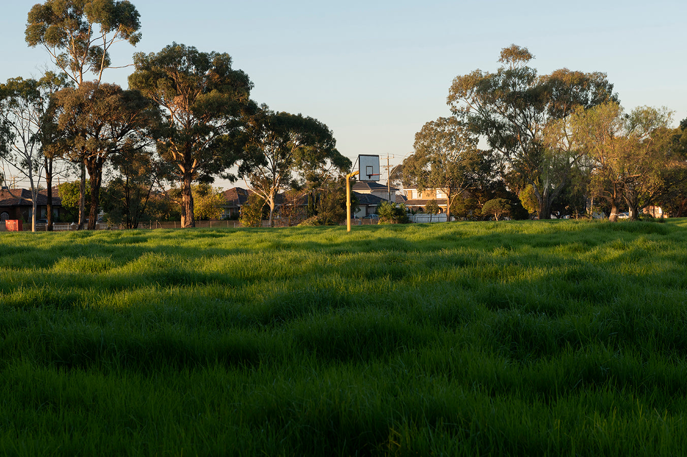 Anna Kiparis | Untitled I (Regarding Scumshine Series)