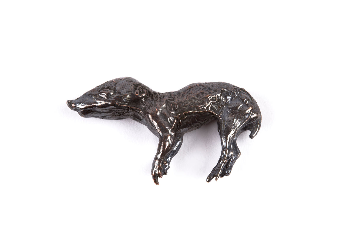 Tineke Van der Eecken | Endangered: Pouch Young Quenda