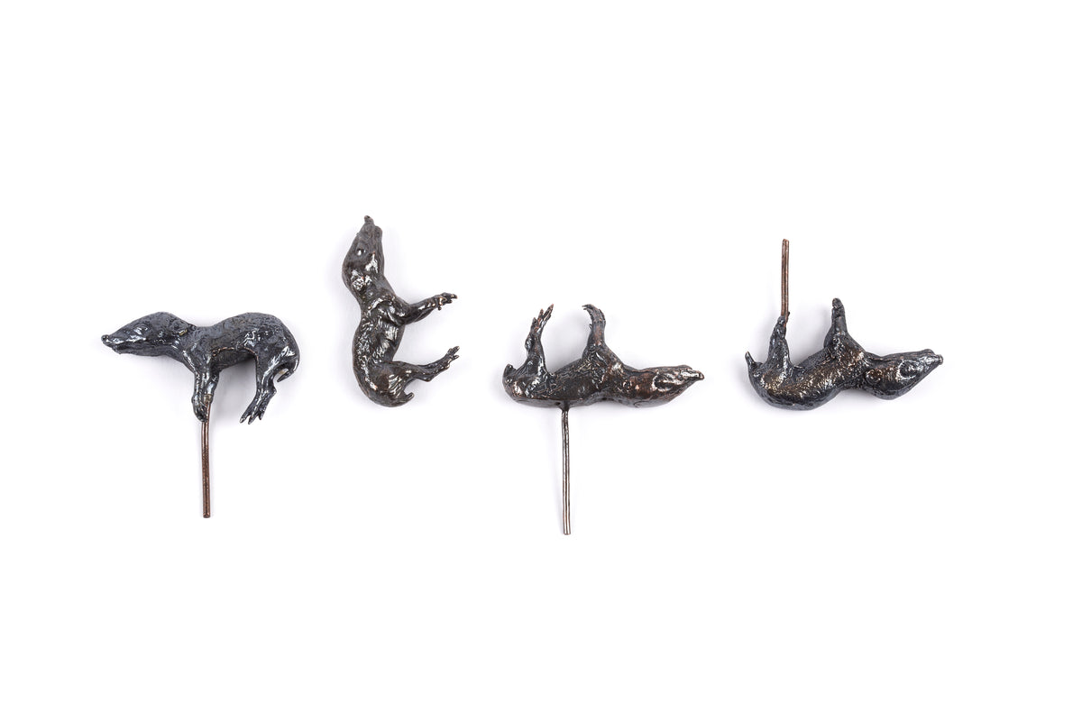 Tineke Van der Eecken | Endangered: Three Pouch Young Quenda