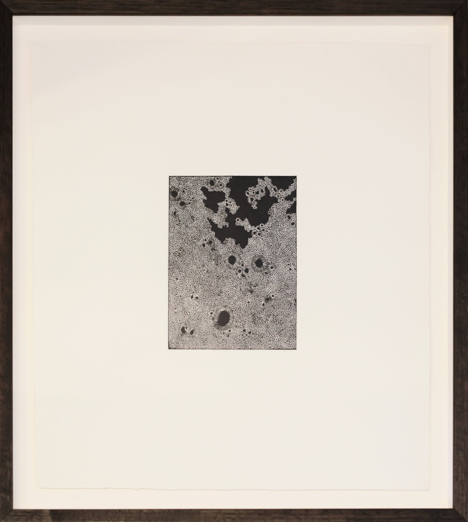 Fiona Davey | Feeling Attached