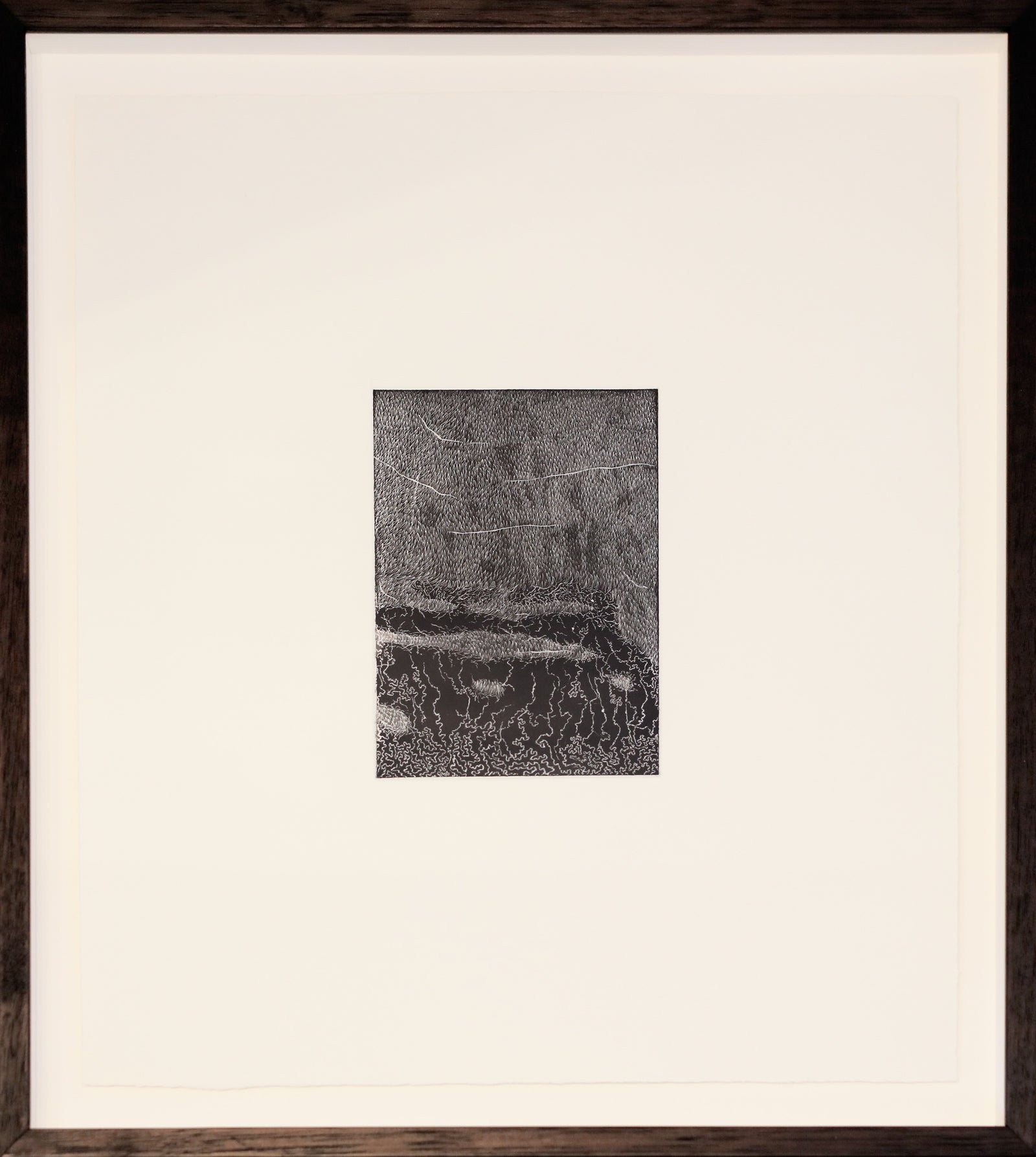 Fiona Davey | Shaped by a Constant Pressure