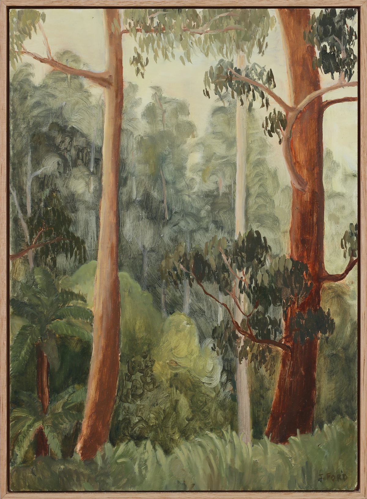 Jessie Rose Ford | Lyrebird Greeting on the Walk Out of Sherbrooke Falls
