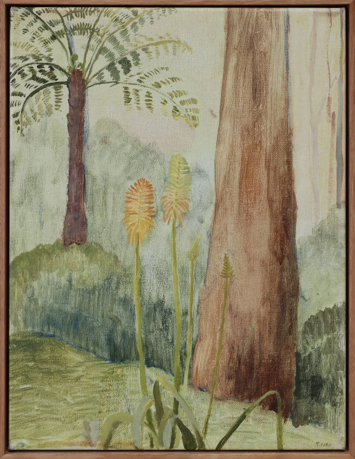 Jessie Rose Ford | A Different View of the Driveway (Monbulk)