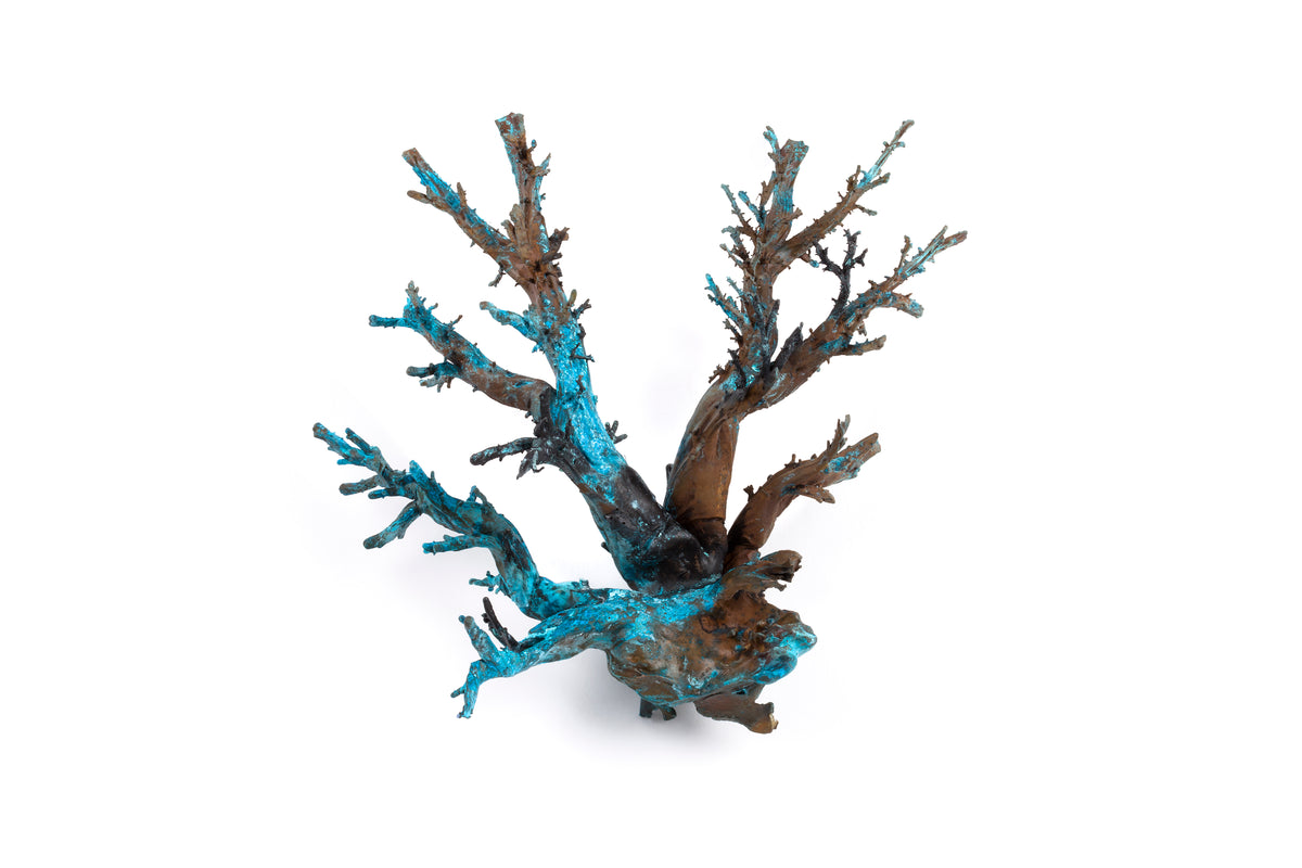 Tineke Van der Eecken | Lung Tree