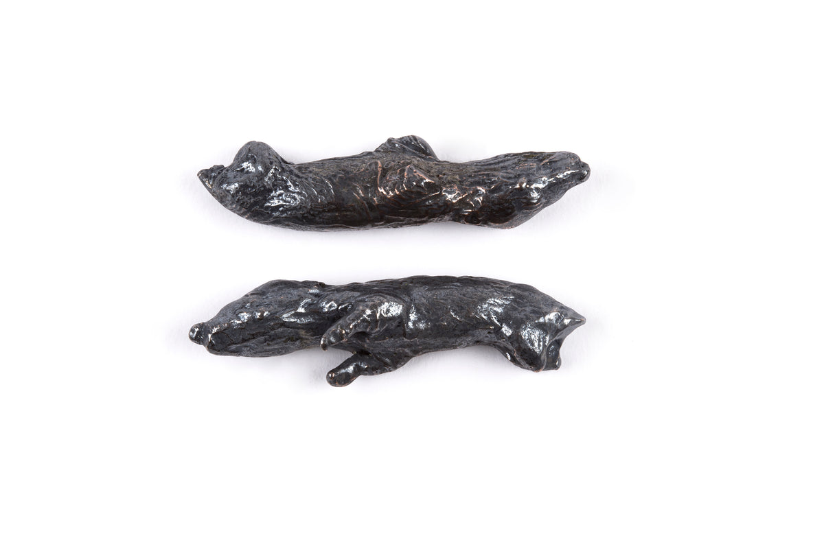 Tineke Van der Eecken | Endangered: Two Pouch Young Quenda