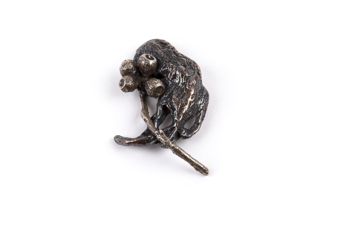 Tineke Van der Eecken | Honey Possum in Eucalyptus