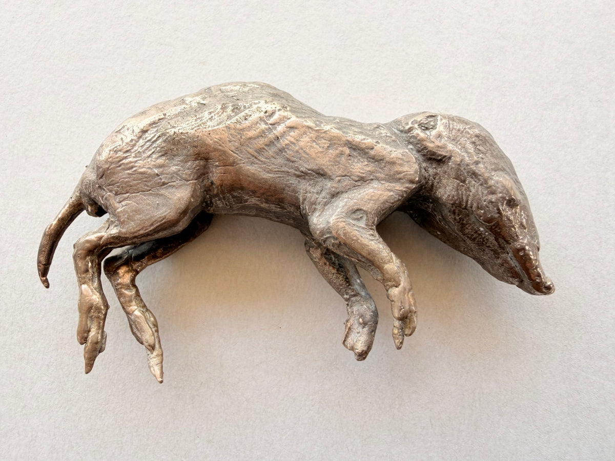 Tineke Van der Eecken | Eternalised: Pouch Young Quenda