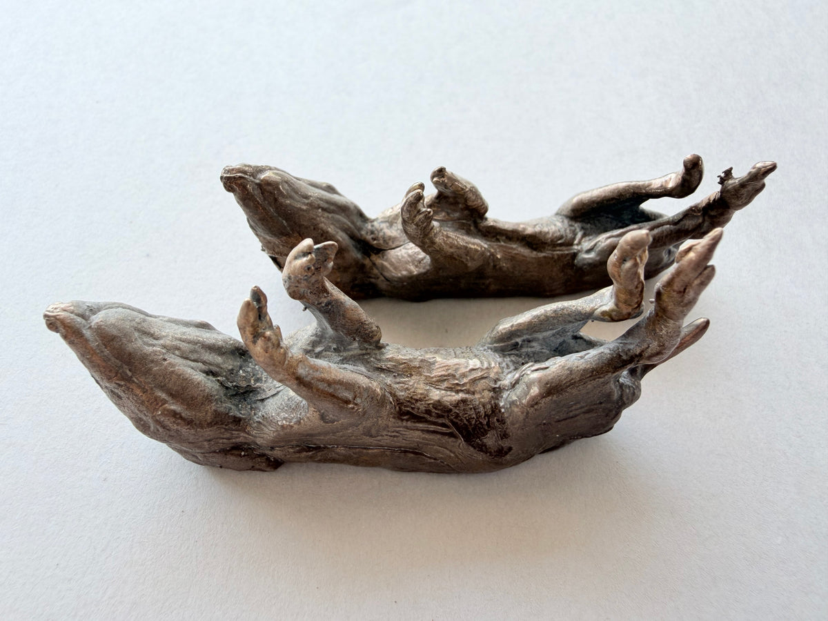 Tineke Van der Eecken | Deceased: Two Pouch Young Quenda