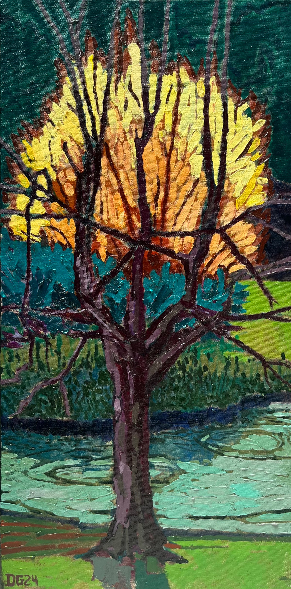 David Griffith | Trees - Treasury Gardens