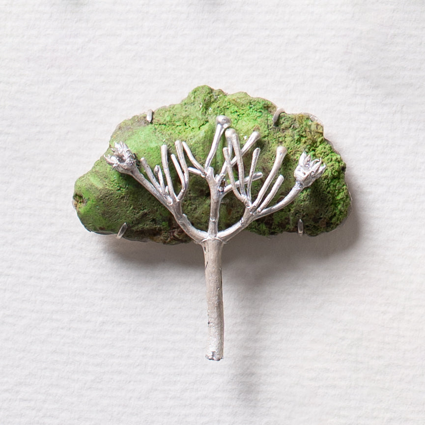 Sultana Shamshi | Desert Kurrajong 2 (Brooch)