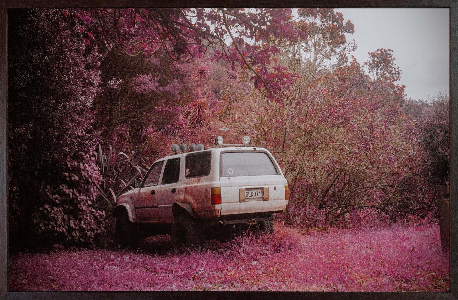 Mimi Ghali | 371 Glenesk Rd, Piha