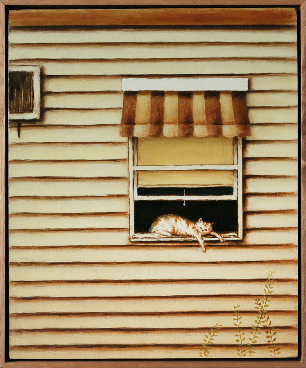 Matthew Watts | 40° (Cat In Window)