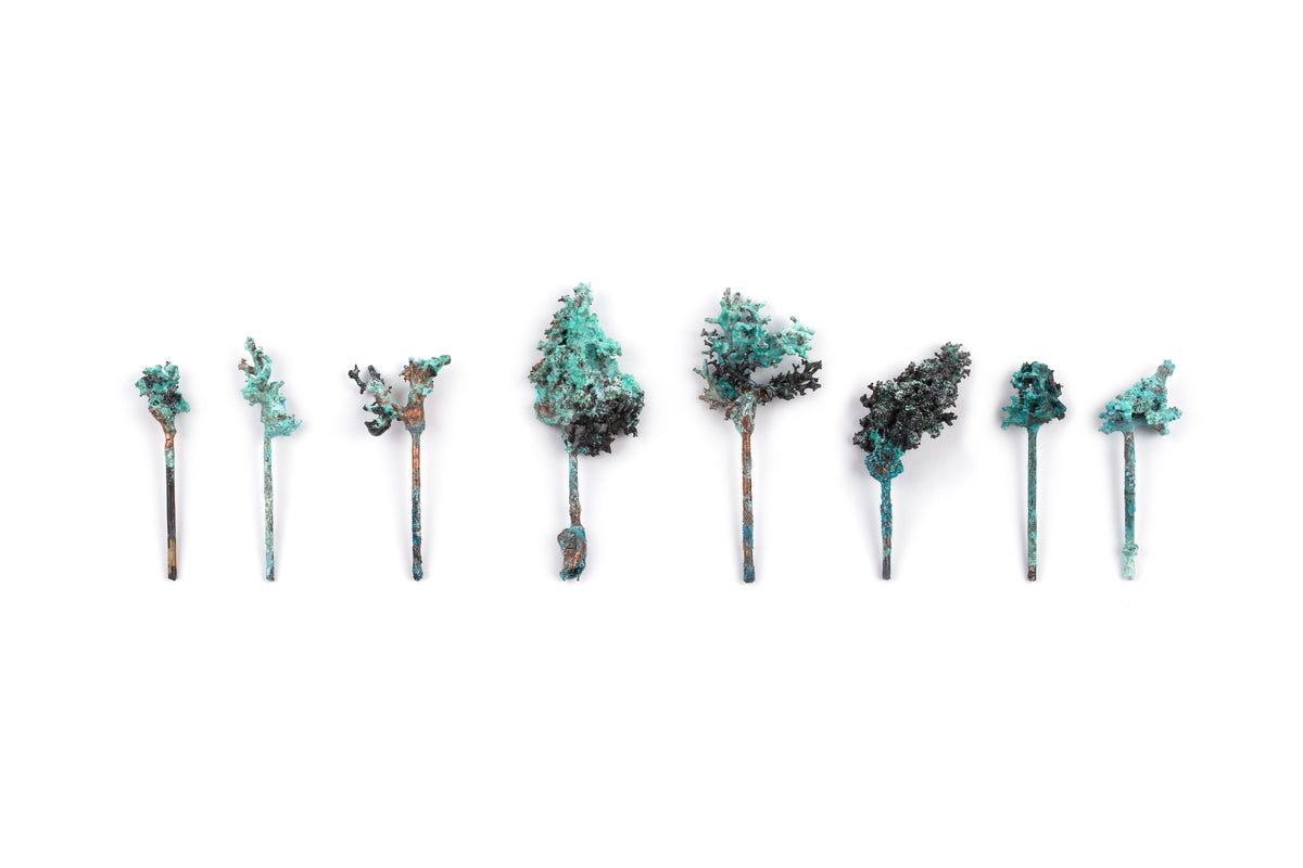 Tineke Van der Eecken | Forest