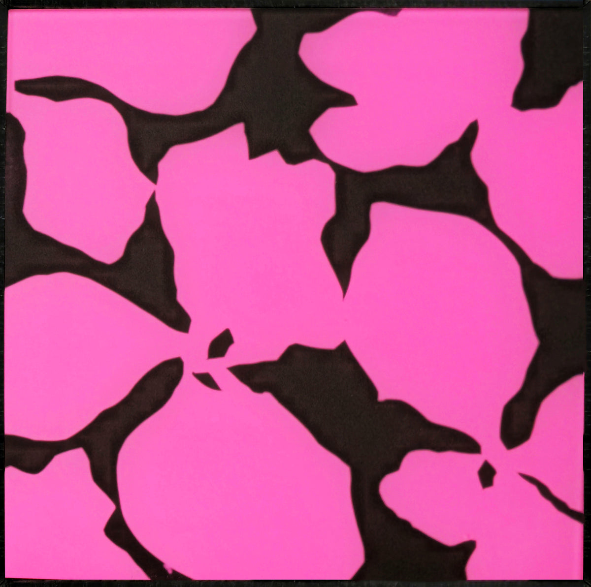 Dr Susan Quinn | Tussie-mussie #7