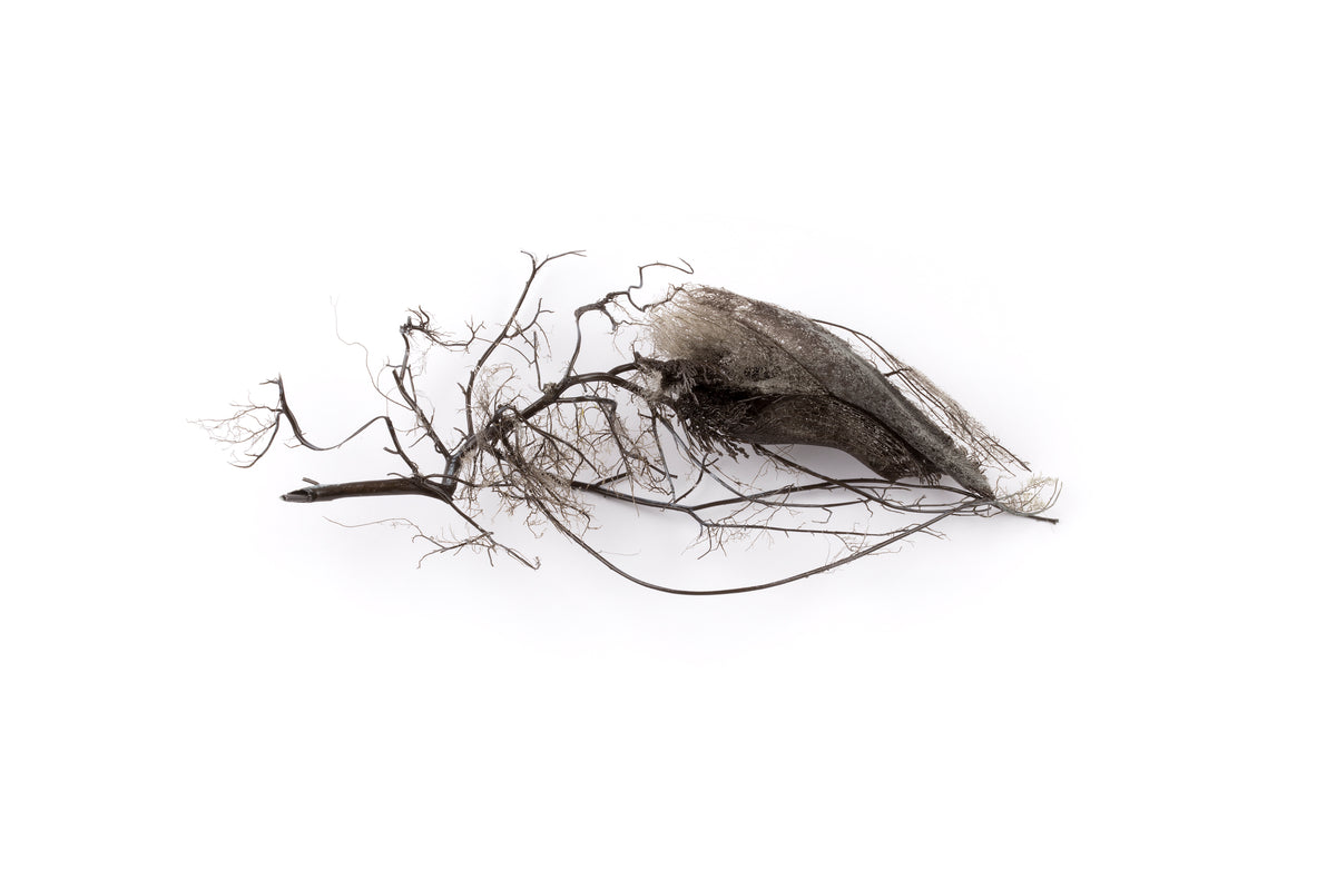 Tineke Van der Eecken | Inconsistencies I