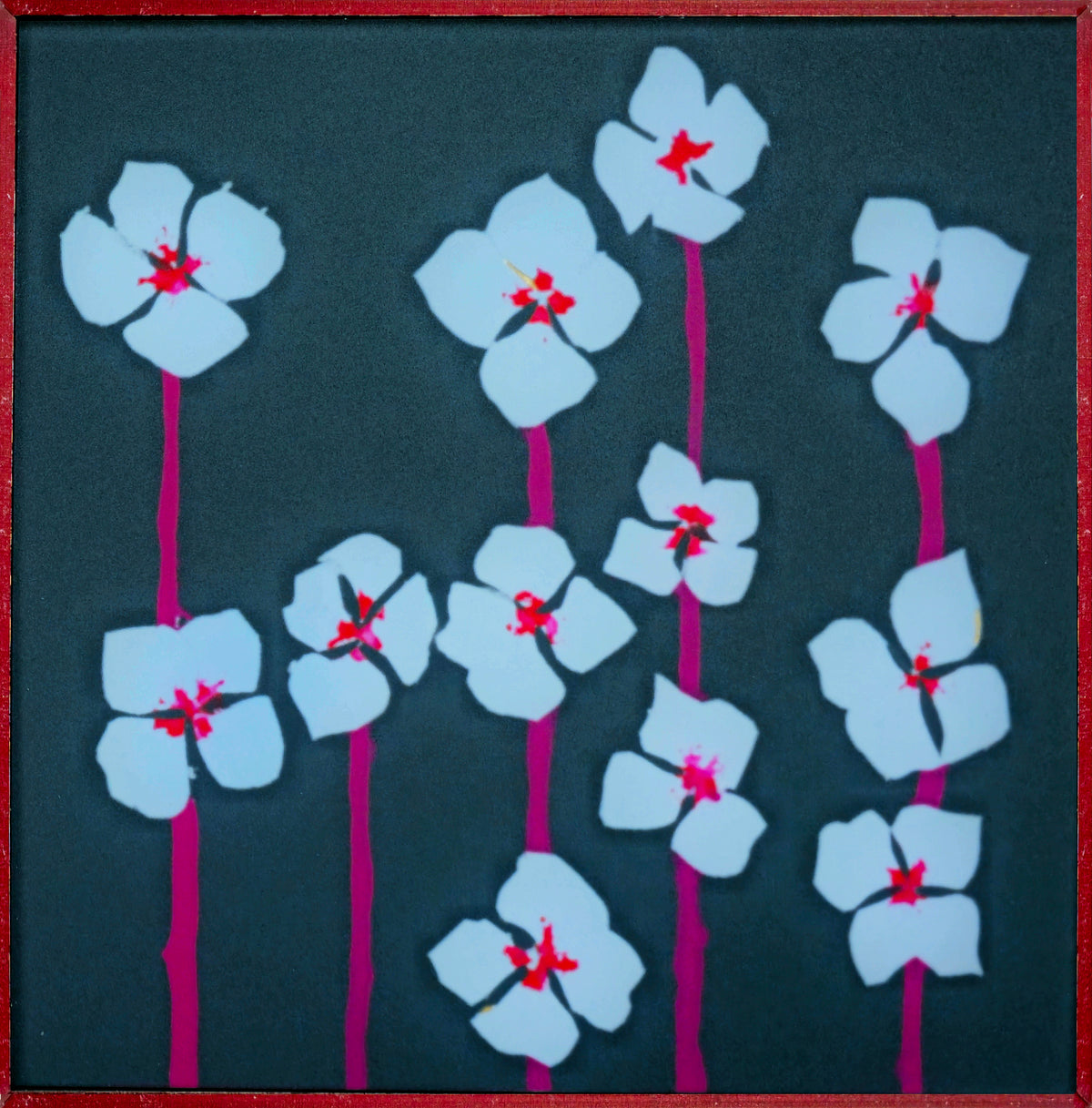 Dr Susan Quinn | Tussie-mussie #8