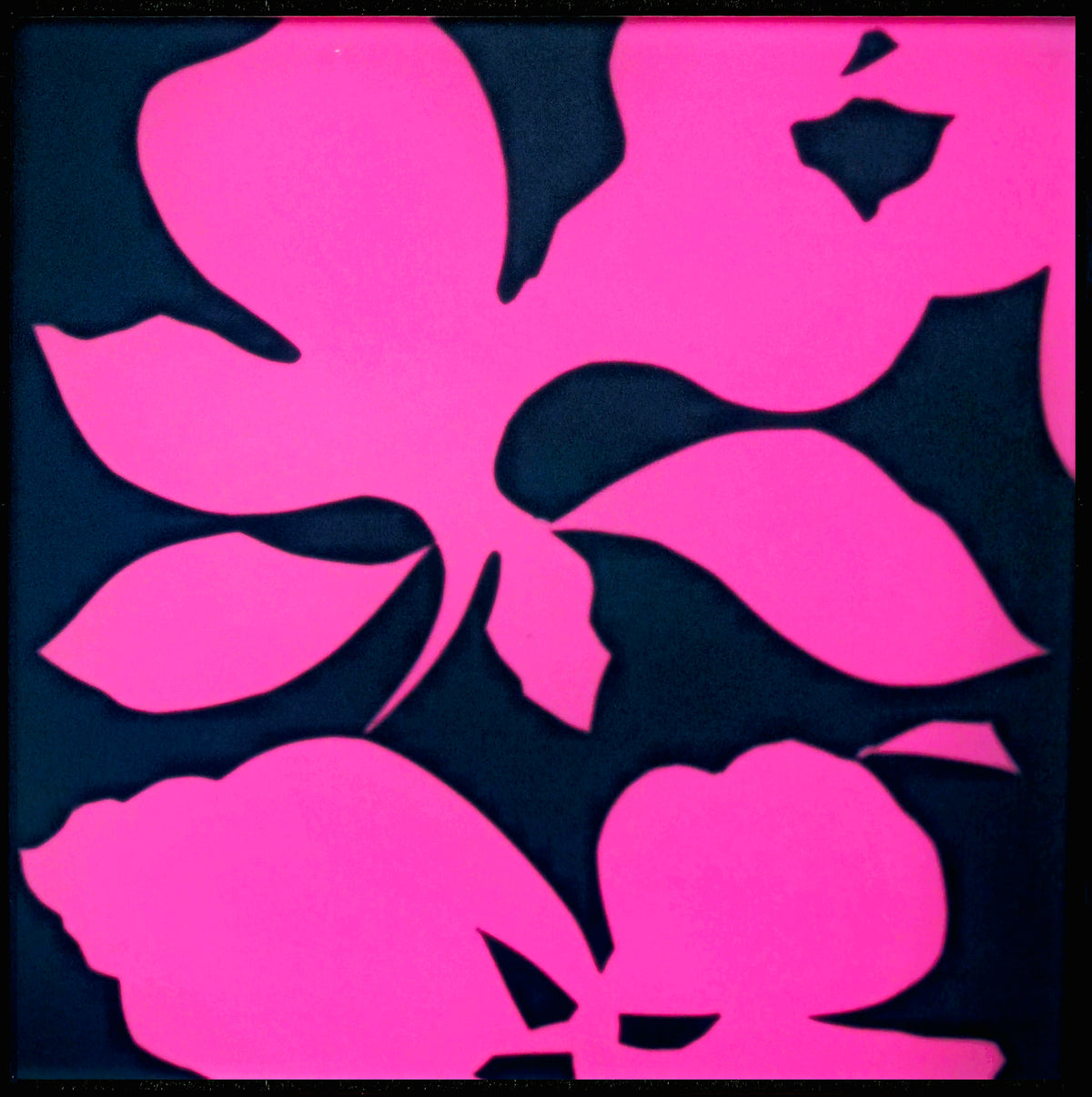 Dr Susan Quinn | Tussie-mussie #9