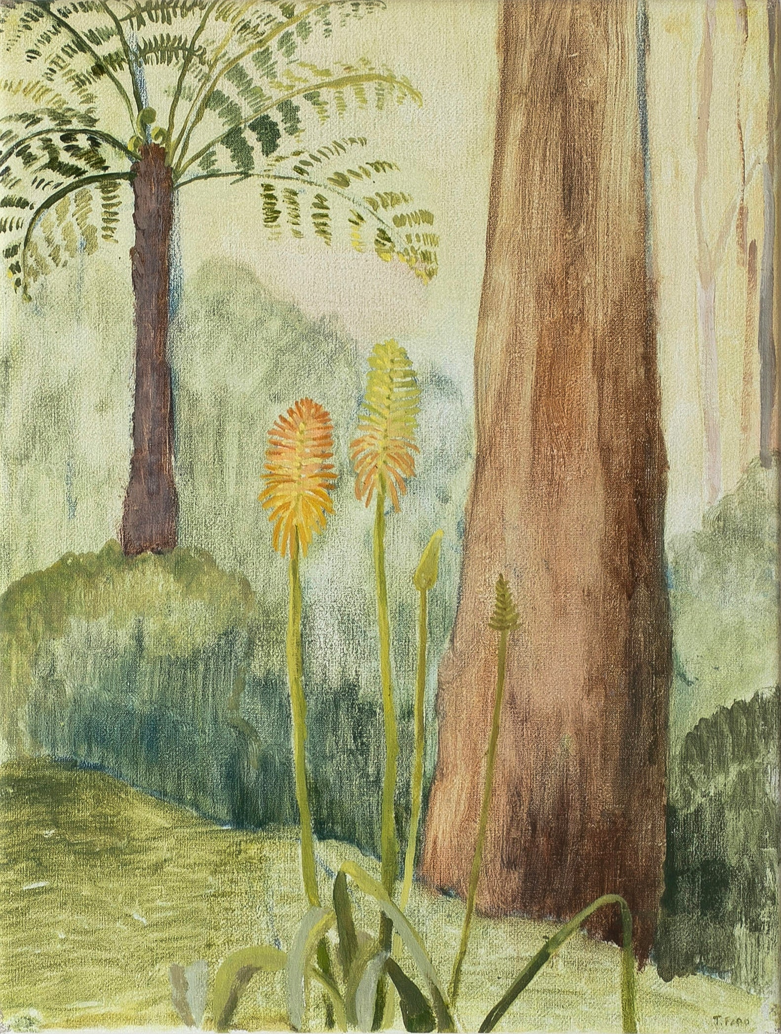 Jessie Rose Ford | A Different View of the Driveway (Monbulk)