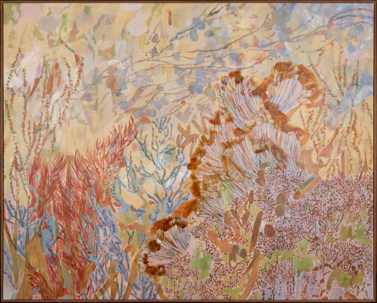 Amy Wright | Underwater Rhapsody
