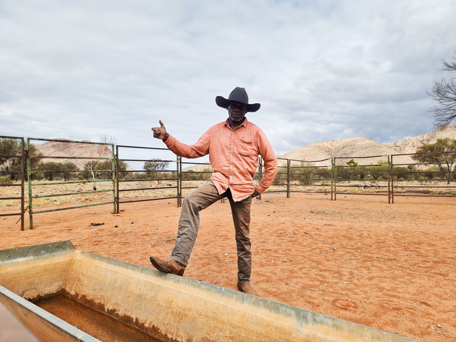 Aaron Pei Pie | Horse and Dingoes 23-1021KA