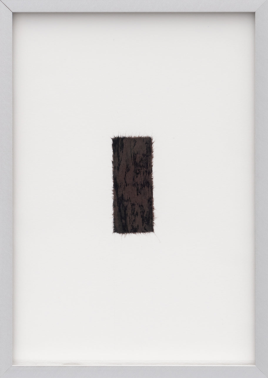Cecilia Jacobs | Abrasion II