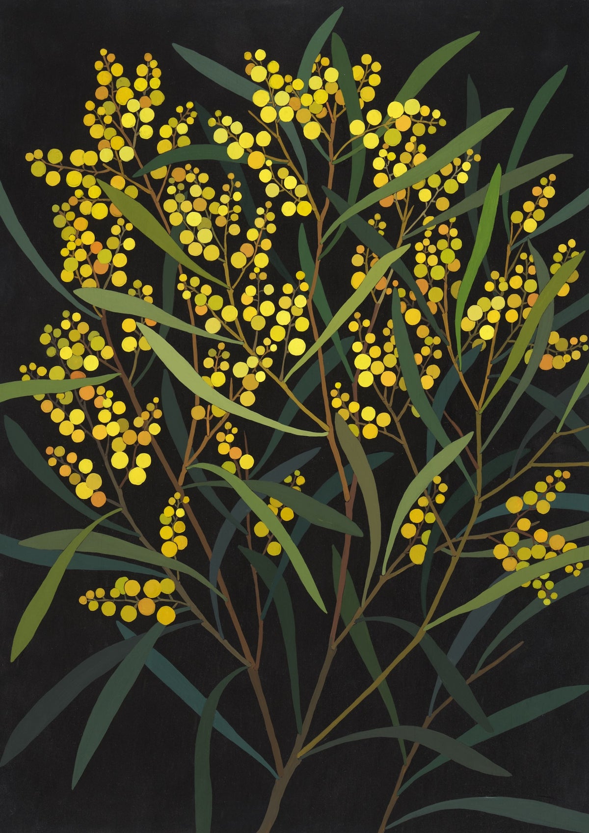 Irina Nazarova | Acacia